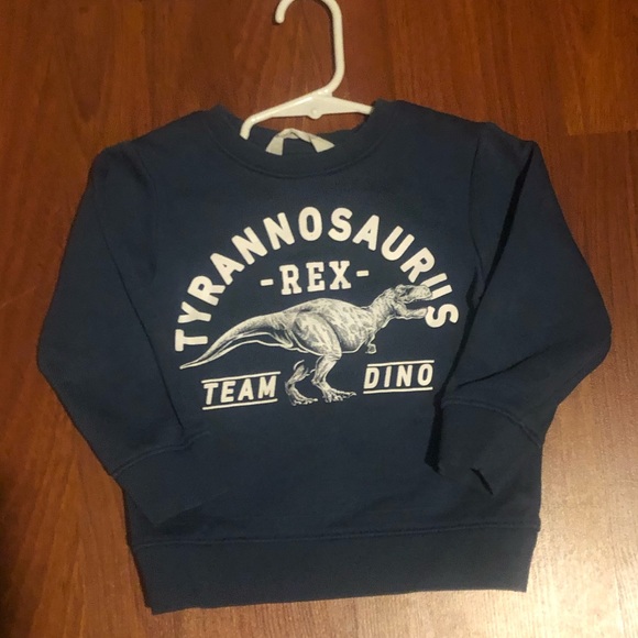h&m dinosaur sweatshirt